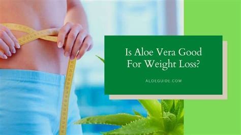 Secret Of Using Aloe Vera For Weight Loss [2021] | Aloe Guide