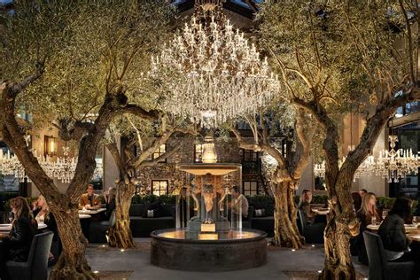 20 Best Restaurants in Napa Valley | NapaValley.com | Blog Hồng