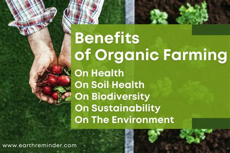 What Are the Benefits of Organic Farming? | Earth Reminder