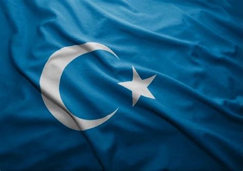 Uyghur Flag | East Turkestan | Bayrak, Baskı, Havalı logo