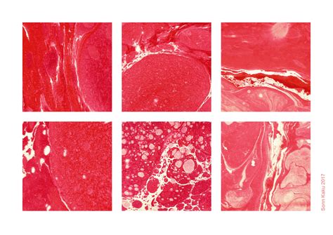 Marbling &Meat on Behance