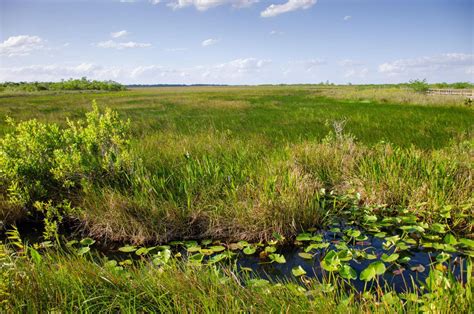 Everglades National Park hiking trails - Right Kind Of Lost