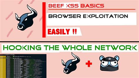 Basics of using the Beef-XSS To Advanced + Bettercap!! - YouTube