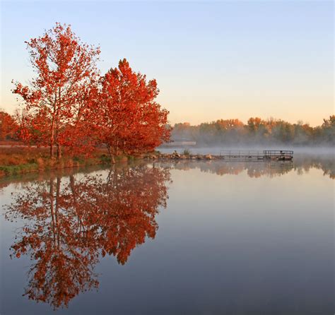 The Wild Wonders of Kansas: 17 Captivating Paddle Boarding Wildlife De