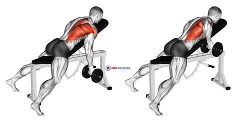 Dumbbell Reverse Grip Incline Bench One Arm Row - Home Gym Review