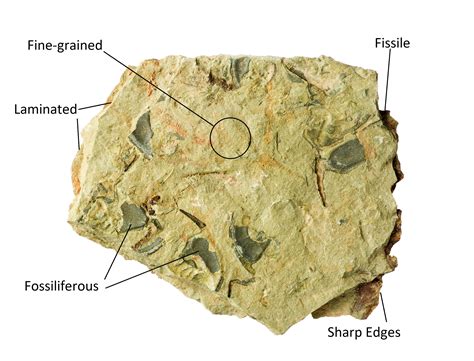 Shale: Identification, Characteristics, and More – Rockhound Resource