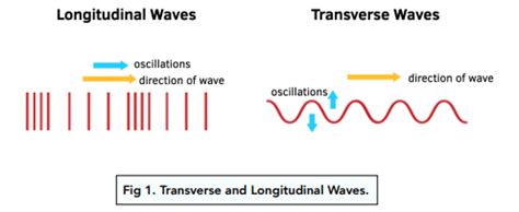 Waves - 6.1.1 Transverse and Longitudinal Waves (GCSE Physics AQA ...