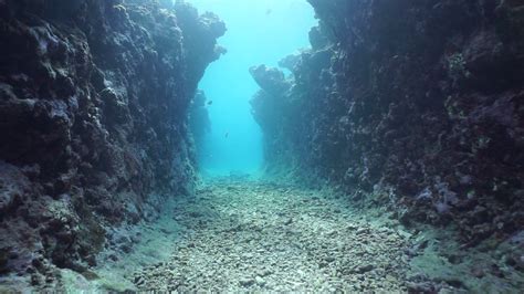 Moving in a natural trench underwater carved into the seafloor on the ...