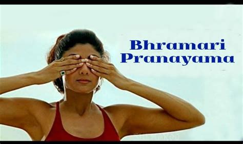 Bhramari Pranayama: Steps to perform Humming Bee breathing technique ...