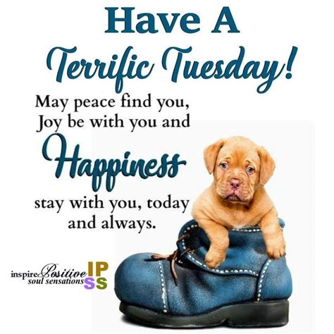 Have a | Tuesday quotes good morning, Happy tuesday quotes, Morning ...