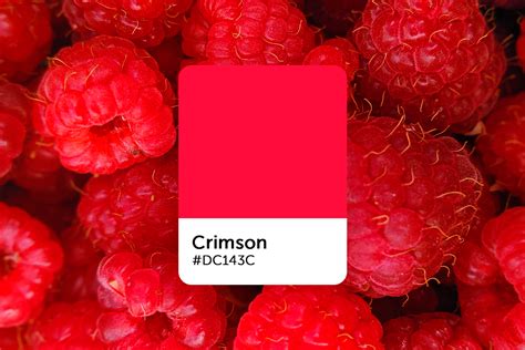 Crimson Color: Hex Code, Shades, and Design Ideas - Picsart Blog