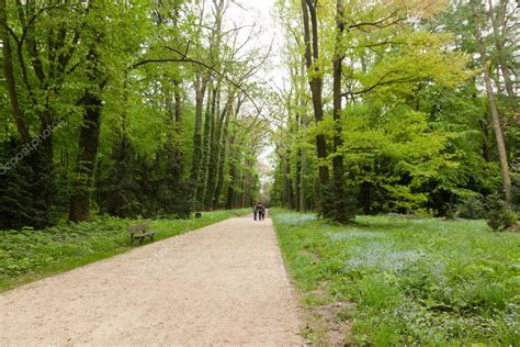 Kornik Arboretum — Stock Photo © melastmohican #12749619