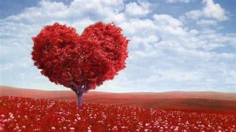 Valentine's day Tree Wallpapers HD / Desktop and Mobile Backgrounds