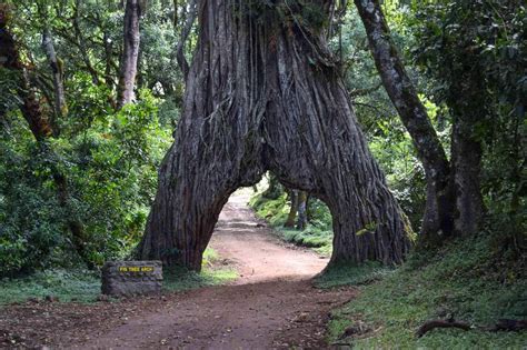 Arusha National Park | Tanzania - Arusha Trips