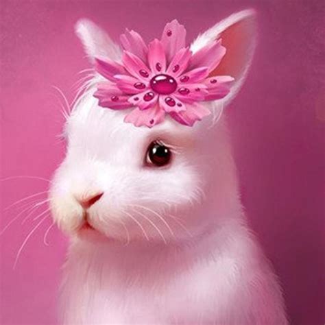 Cute Cartoon Bunny Wallpapers - Top Free Cute Cartoon Bunny Backgrounds ...