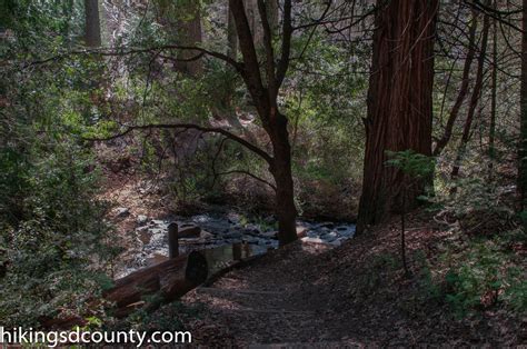 Doane Valley Nature Trail (Palomar Mountain State Park) - Hiking San ...