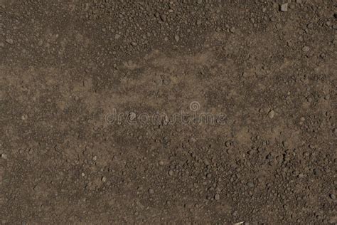 Mud dirt texture stock photo. Image of bare, parched, nature - 1592792