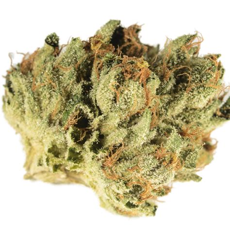 Bedford Grow: Bedford OG | Leafly