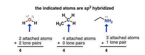 How To Determine Hybridization: A Shortcut – Master Organic Chemistry