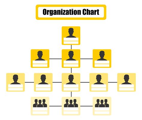 Organizational Chart Organizational Chart | Images and Photos finder