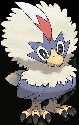 Pokemon #627 Rufflet Uncommon Picture - For Pokemon Go Players