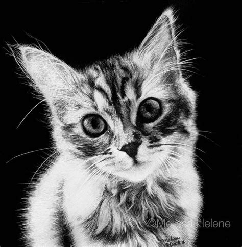 Amazing Expressions in Scratchboard Animal Portraits | Scratchboard ...