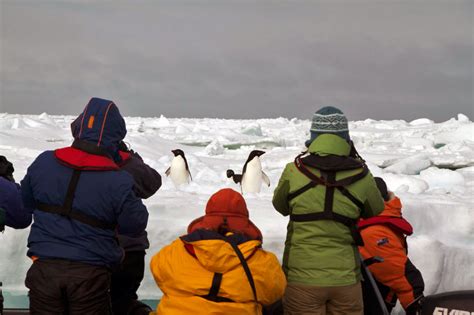 Antarctica Cruise and Travel Guide, South Shetland Islands