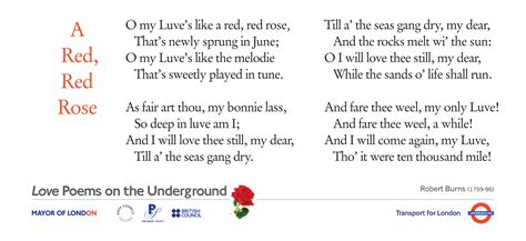 A Red, Red Rose – Poems on the Underground