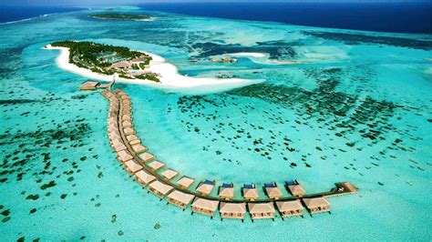 Cocoon Maldives - IM Maldives