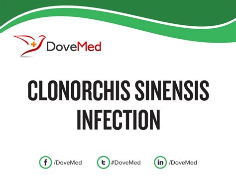 Clonorchis Sinensis Infection