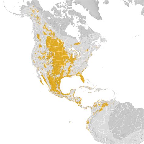 Blue-winged Teal - Range map: Post-breeding migration - eBird Status ...