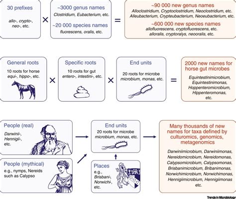 The Next Million Names for Archaea and Bacteria: Trends in Microbiology