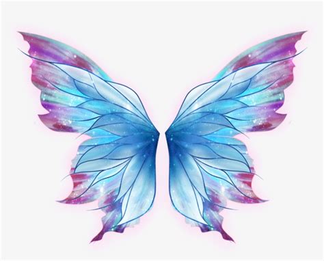 Butterfly Drawing Art Fairy - Butterfly Wings Png PNG Image ...