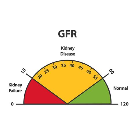 CHRONIC KIDNEY DISEASE (CKD) – iPay Clinic: Affordable Medical Office