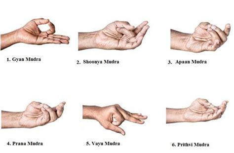 Mudras and prana | Introduction to Mudra | Nepal | Yoga Guide for Your ...