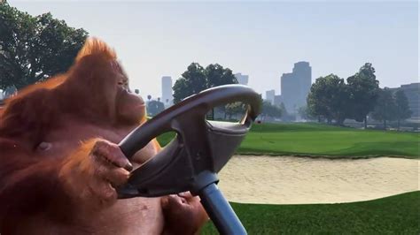 Orangutan driving golf cart in Los Santos l GTA V - YouTube