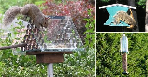 8 DIY Squirrel Proof Bird Feeder Ideas | Balcony Garden Web