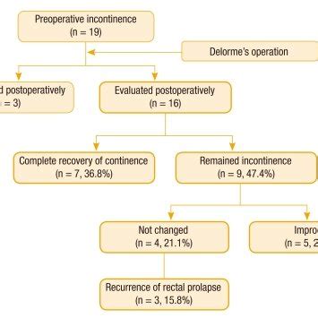 Characteristics of patients undergoing the Delorme's procedure (n = 19 ...