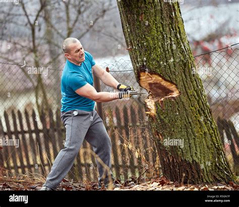 Collection 102+ Pictures How To Cut A Tree Down With A Chainsaw Full HD ...