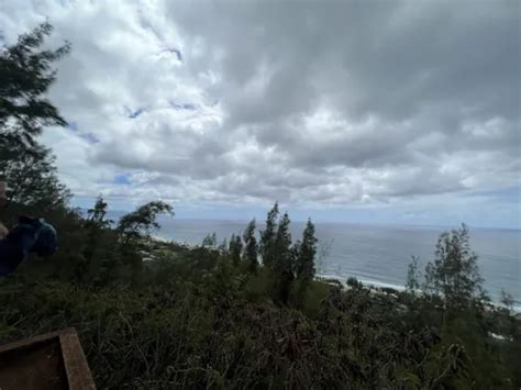 2023 Best Moderate Trails in Pupukea Paumalu Forest Reserve | AllTrails