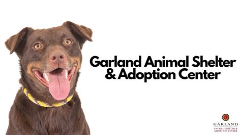 Garland Animal Shelter & Adoption Center - Home