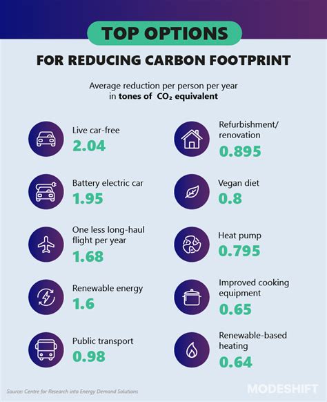 The Importance Of A Carbon Footprint: All You Need To Know