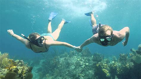 Snorkeling in Turks and Caicos with Caicos Dream Tours - YouTube