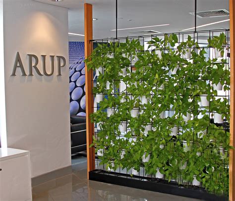 Green Wall for your office - Why Vertical Wall Gardens are the new ...