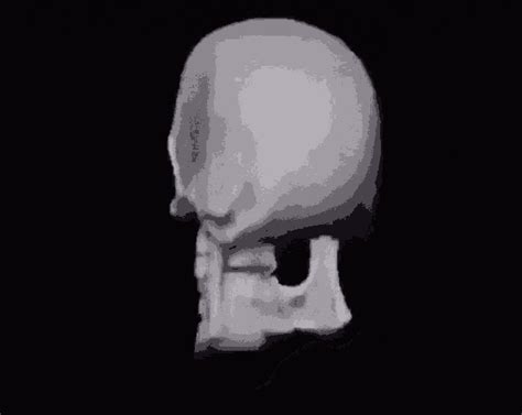 Esqueleto Skeleton GIF - Esqueleto Skeleton Meme - Discover & Share GIFs