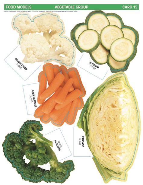 Food Models - Vegetable Group - Midwest Dairy