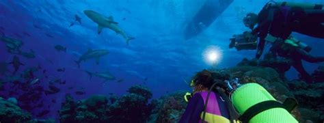 Diving in Yap - Bluewater Dive Travel