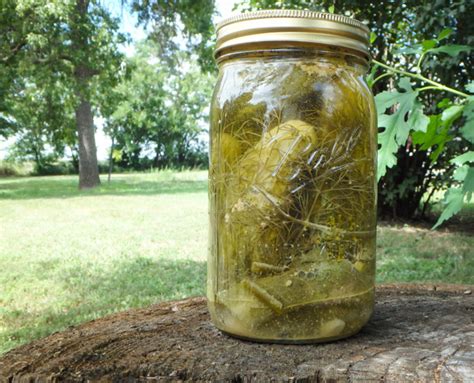 Salt Pickle Recipe - Vintage Homecanning | Salt pickles recipe ...