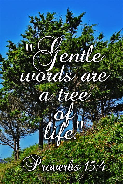 Gentle words are a tree of life. Proverbs 15:4 | Words, Life, Proverbs