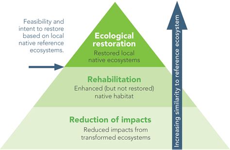 Restauración de Ecosistemas: Concepto y Métodos